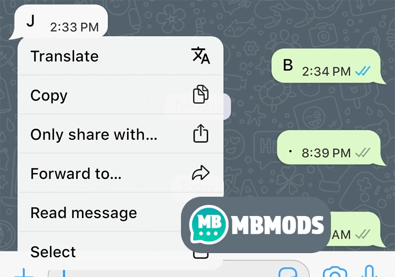 mbmods features in pvt msg